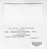 Image Associated With the Occurence